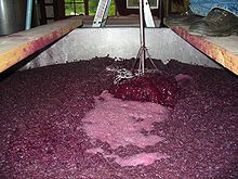Wine fermentation process – notice how the wine is not clear as from the bottled wine?